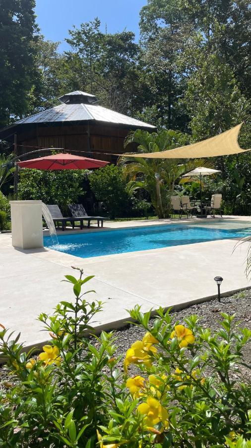 La Amapola Lodge, Bungalow En Peninsula De Osa. Barrigones 외부 사진