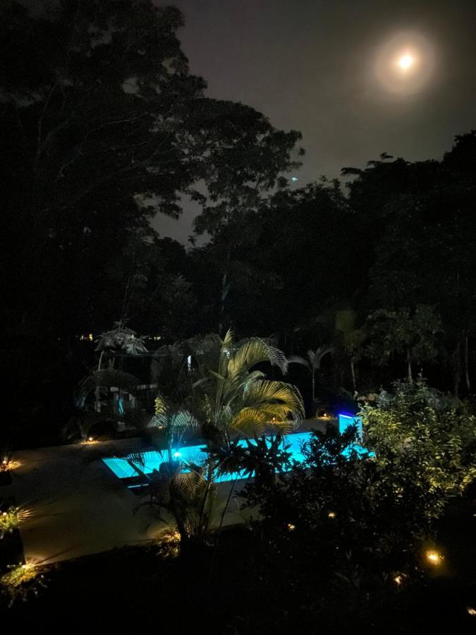 La Amapola Lodge, Bungalow En Peninsula De Osa. Barrigones 외부 사진